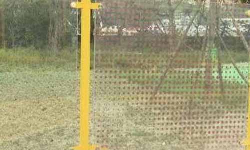 조류 안전 유리 란 무엇입니까?